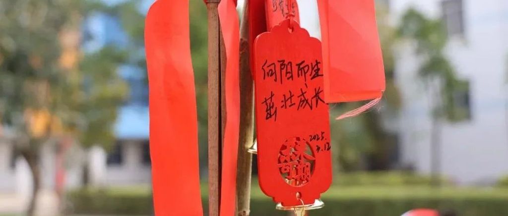 佛山：筑牢未成年人成长法治“防线”
